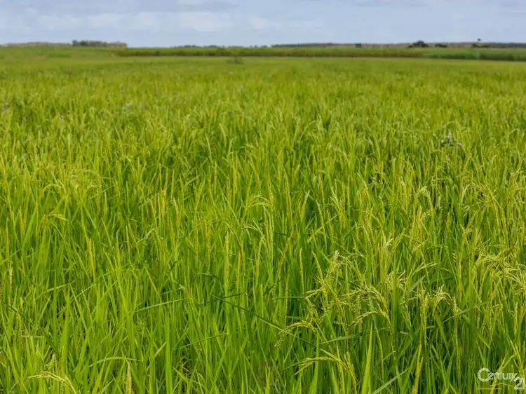 Fourth view of Homely rural property listing, Address available on request