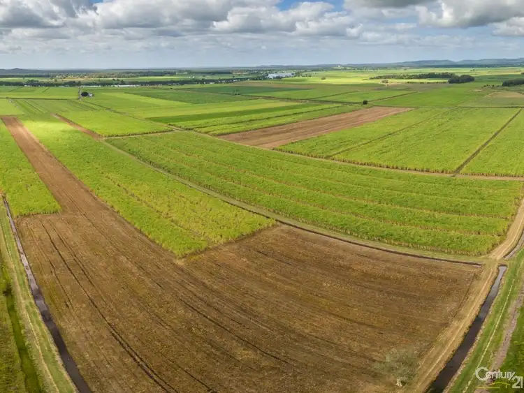 Sixth view of Homely rural property listing, Address available on request