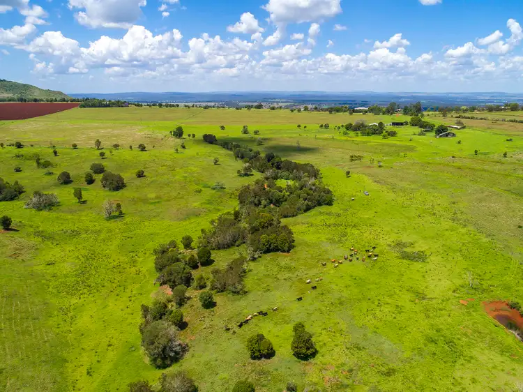 Main view of Homely rural property listing, Lot 4 Levers Road, Tablelands QLD 4605