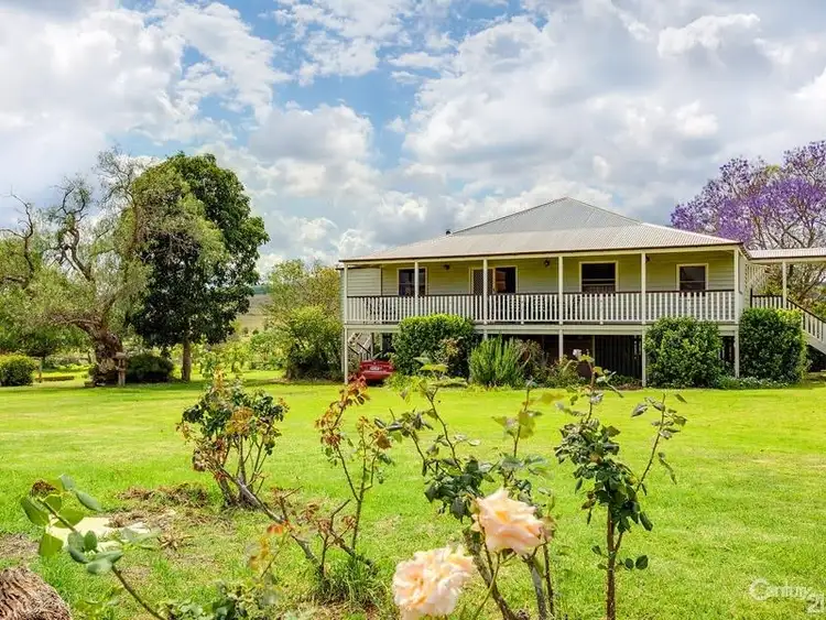 Third view of Homely rural property listing, Lot 4 Levers Road, Tablelands QLD 4605