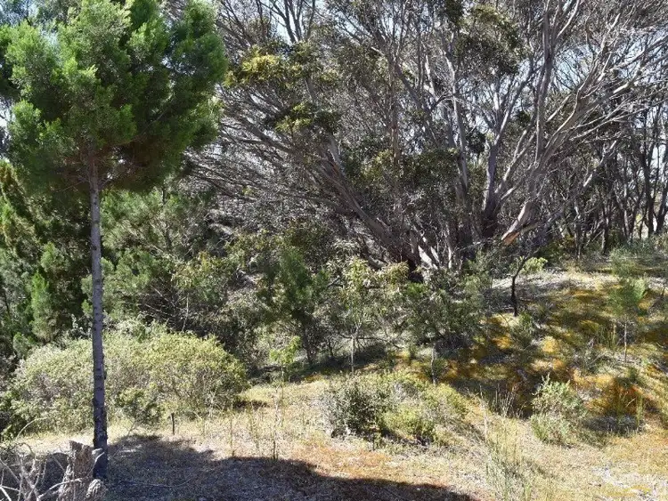 Third view of Homely land listing, Lot 206 Borda Road, Island Beach SA 5222