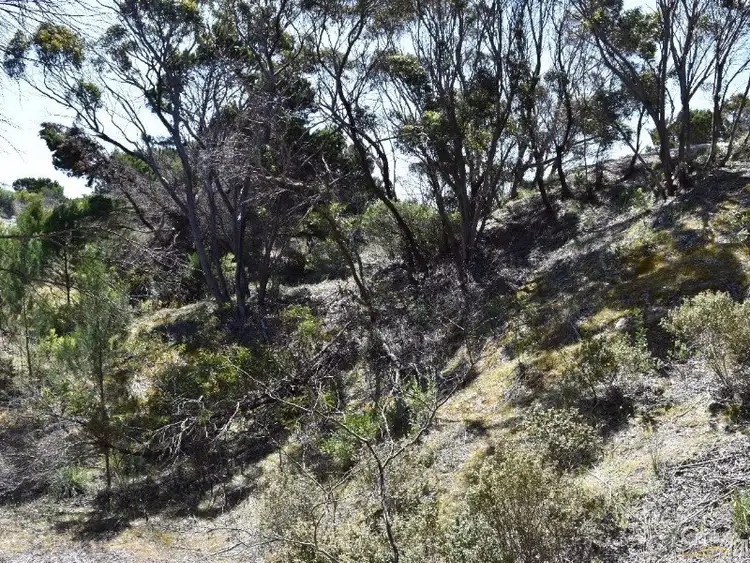 Fifth view of Homely land listing, Lot 206 Borda Road, Island Beach SA 5222