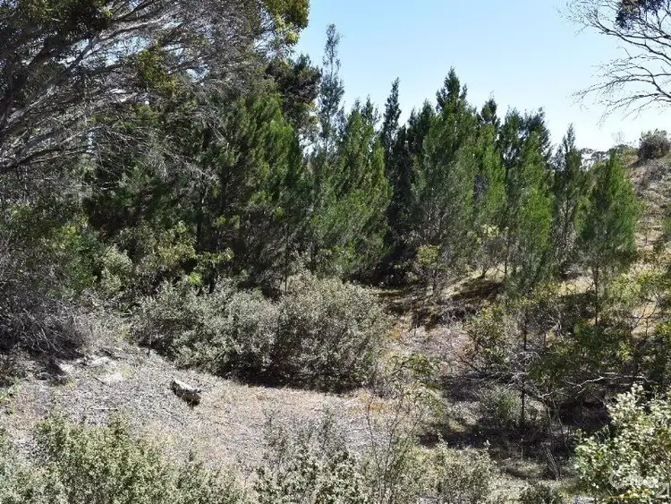 Sixth view of Homely land listing, Lot 206 Borda Road, Island Beach SA 5222