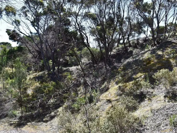 Seventh view of Homely land listing, Lot 206 Borda Road, Island Beach SA 5222