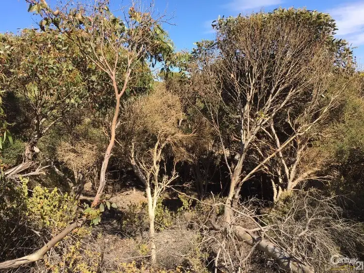 Fifth view of Homely land listing, Lot 93 Crabb Road, Vivonne Bay SA 5223