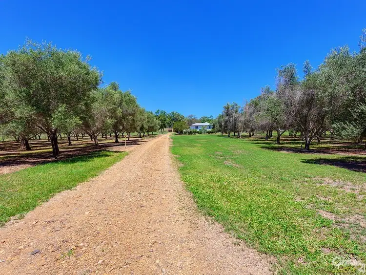 Fifth view of Homely rural property listing, 2858 Gayndah Road, Windera QLD 4605