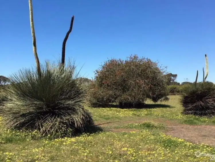Main view of Homely rural property listing, Lot 20 Wild Dog Road, D'estrees Bay SA 5223