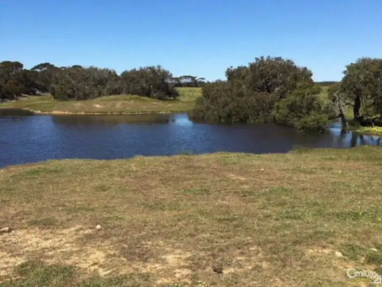 Fifth view of Homely rural property listing, Lot 20 Wild Dog Road, D'estrees Bay SA 5223