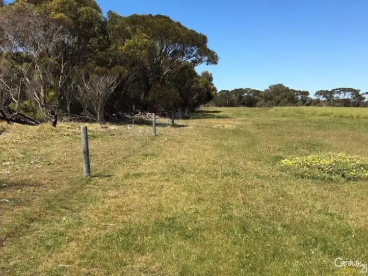 Sixth view of Homely rural property listing, Lot 20 Wild Dog Road, D'estrees Bay SA 5223