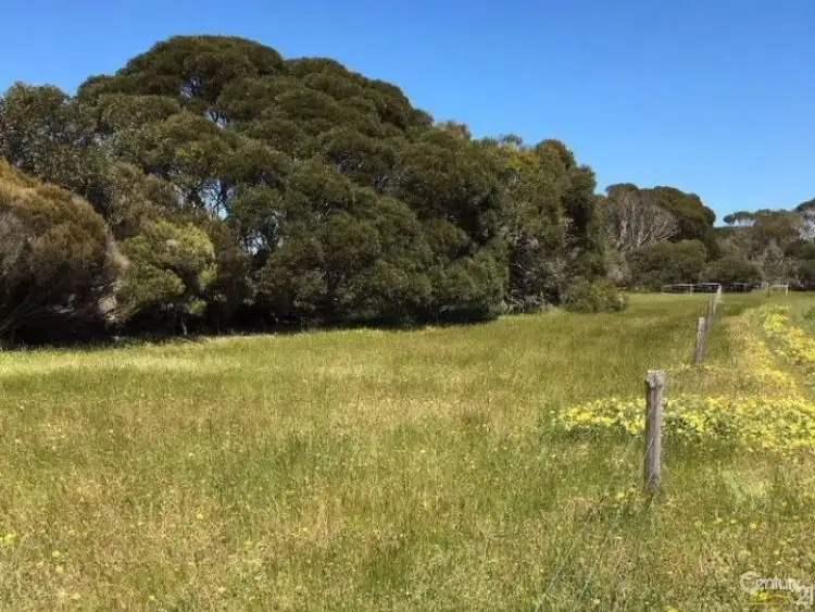 Seventh view of Homely rural property listing, Lot 20 Wild Dog Road, D'estrees Bay SA 5223