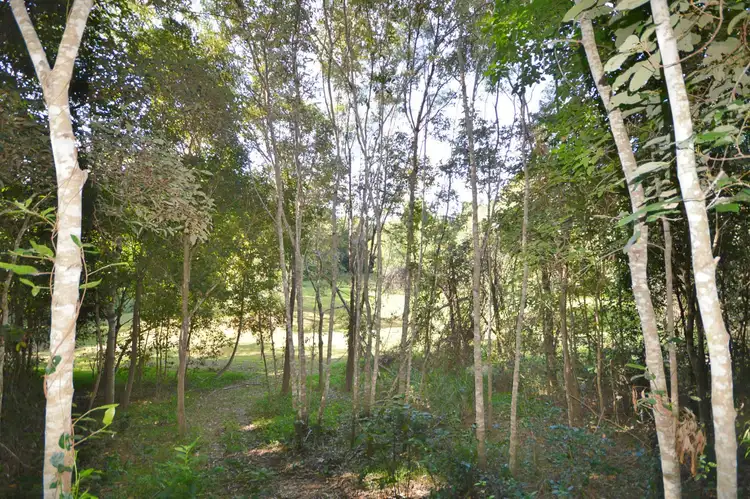 Fifth view of Homely rural property listing, 9 Bindara Court, Mullett Creek QLD 4670