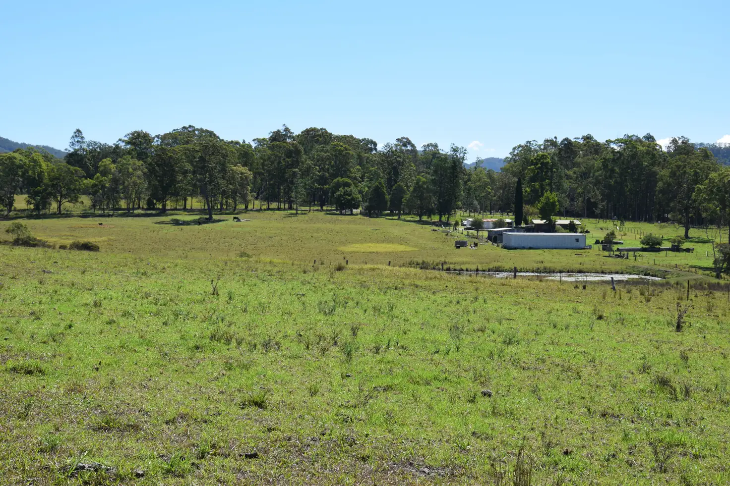 Main view of Homely rural property listing, 1208 Comboyne Road, Killabakh NSW 2429