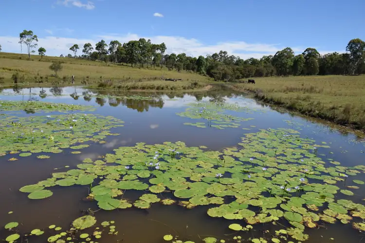 Second view of Homely rural property listing, 1208 Comboyne Road, Killabakh NSW 2429