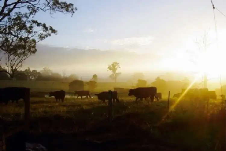 Seventh view of Homely rural property listing, 1208 Comboyne Road, Killabakh NSW 2429