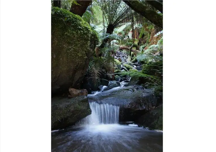 Seventh view of Homely land listing, 164 Mt Dandenong Tourist Road, Ferny Creek VIC 3786
