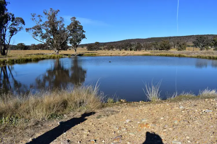 Second view of Homely rural property listing, 7723 Henry Parkes Way, Parkes NSW 2870