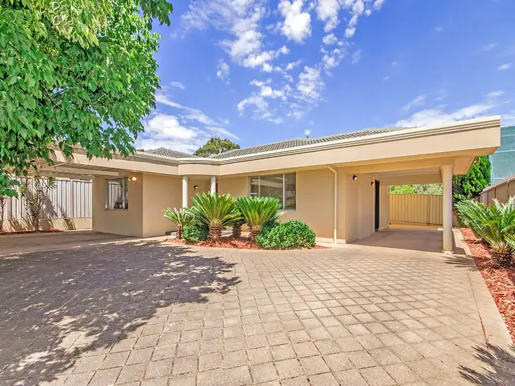 66 Avenue Road, Paradise SA 5075