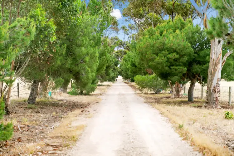 Fifth view of Homely rural property listing, 208 Finniss-Clayton Rd, Finniss SA 5255