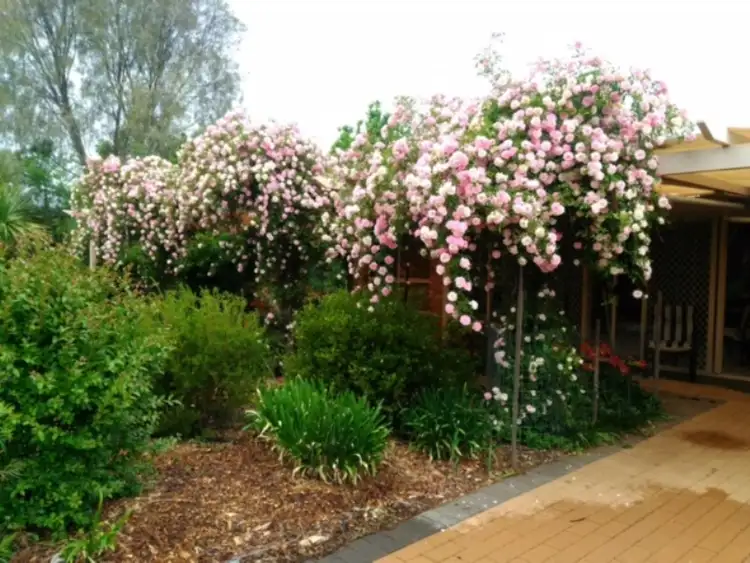 Fifth view of Homely house listing, 1 Araluen Way, Dubbo NSW 2830