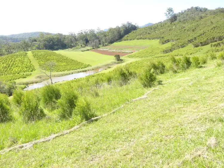 Main view of Homely rural property listing, 1756 North Arm Road, Bowraville NSW 2449