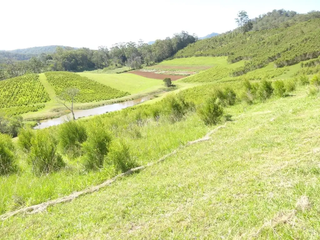 Main view of Homely rural property listing, 1756 North Arm Road, Bowraville NSW 2449