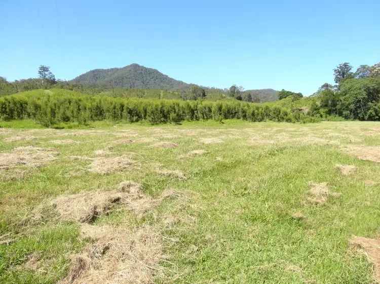 Third view of Homely rural property listing, 1756 North Arm Road, Bowraville NSW 2449