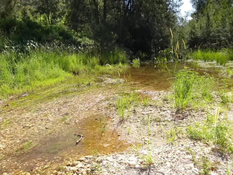 Fourth view of Homely rural property listing, 1756 North Arm Road, Bowraville NSW 2449