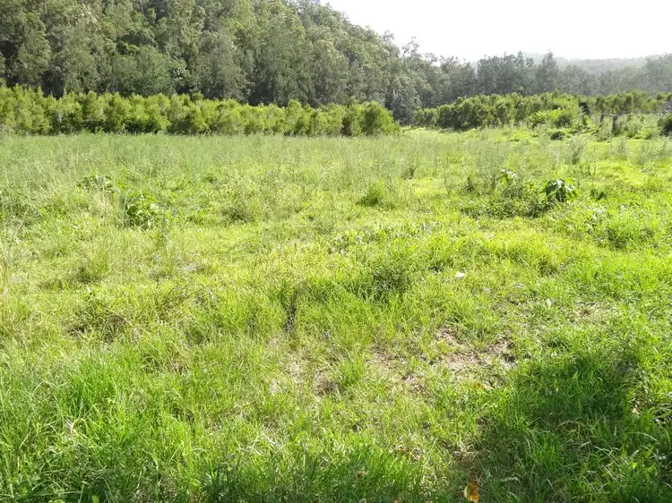 Fifth view of Homely rural property listing, 1756 North Arm Road, Bowraville NSW 2449