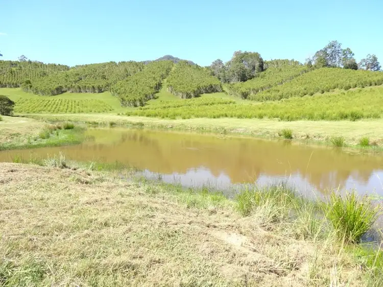 Sixth view of Homely rural property listing, 1756 North Arm Road, Bowraville NSW 2449