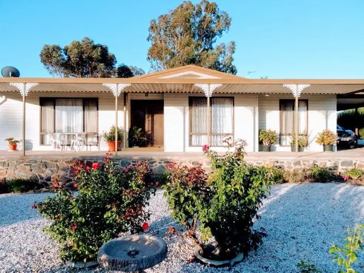40 Nildottie Road, Swan Reach SA 5354