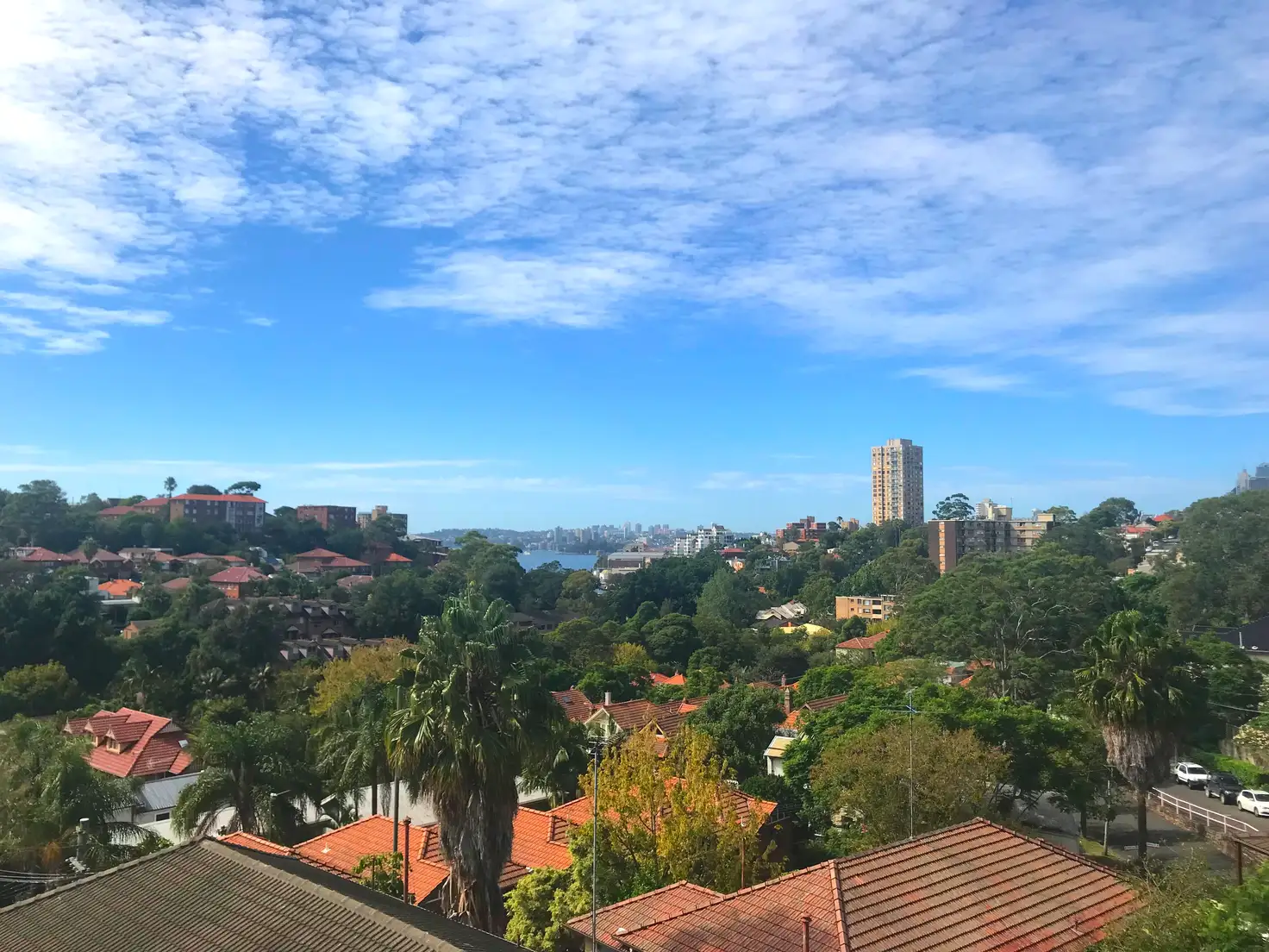 Main view of Homely apartment listing, 7/361 Alfred Street North, Neutral Bay NSW 2089