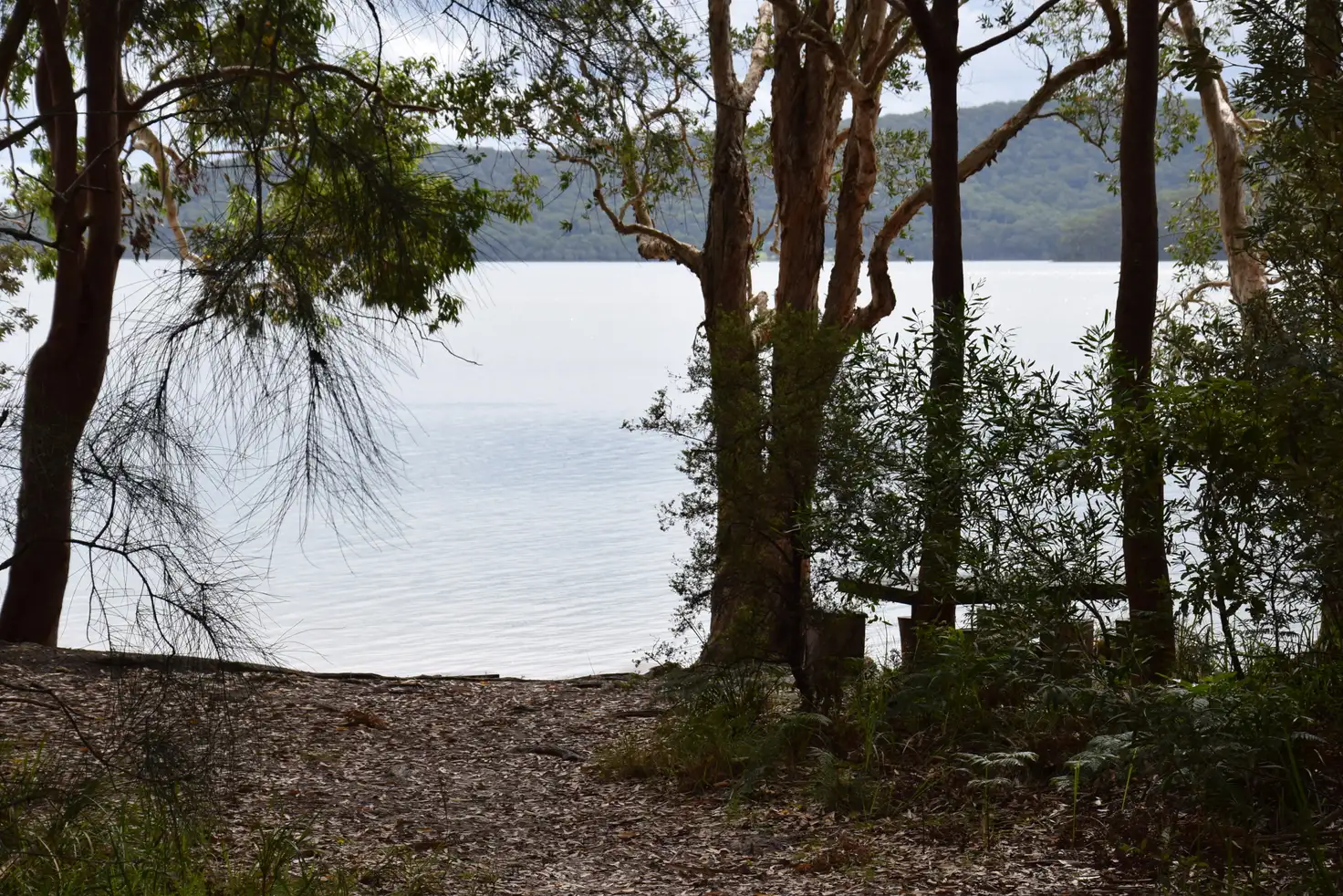 Main view of Homely house listing, 22 Amaroo Drive, Smiths Lake NSW 2428