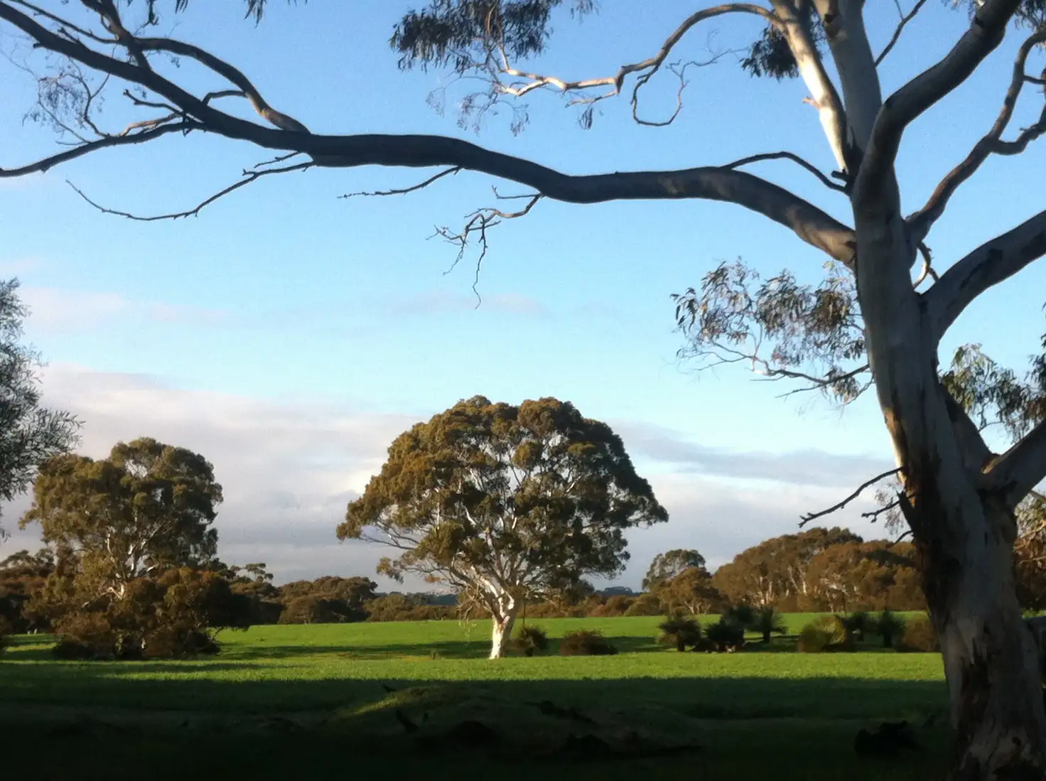 Main view of Homely rural property listing, Sec 62 Bark Hutt Road, Cassini SA 5223