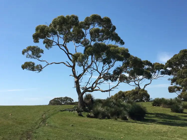 Second view of Homely rural property listing, Sec 62 Bark Hutt Road, Cassini SA 5223