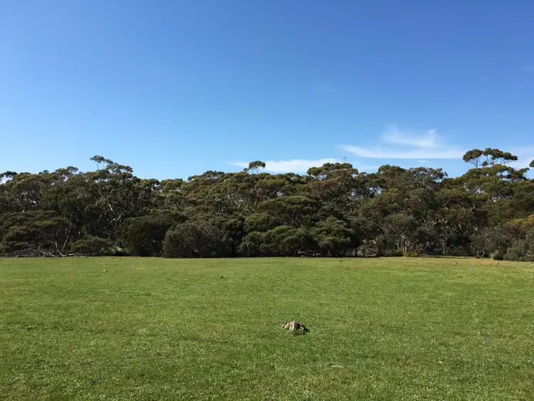 Fourth view of Homely rural property listing, Sec 62 Bark Hutt Road, Cassini SA 5223