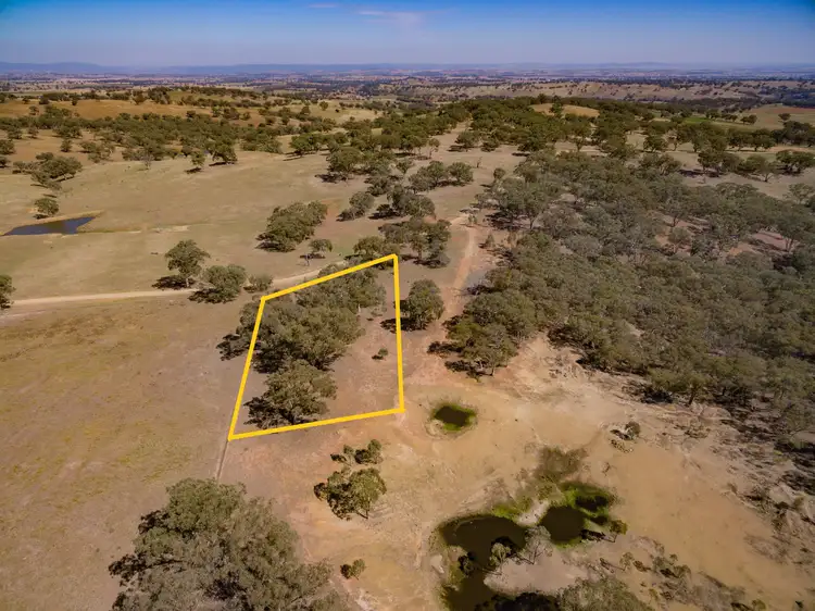 LOT 313 PALING YARDS LOOP ROAD CUDAL, Orange NSW 2800
