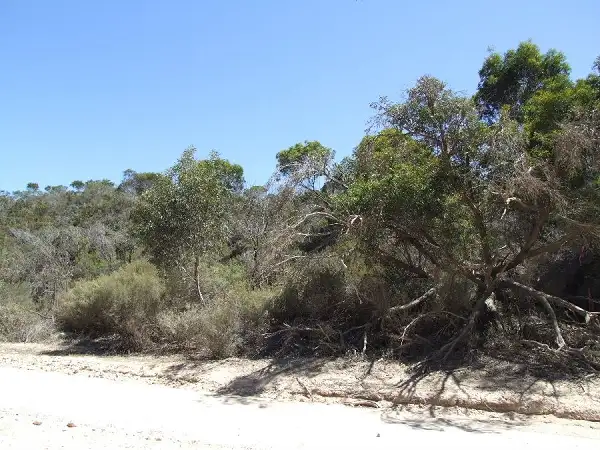 Fifth view of Homely land listing, Lot 195 Island Beach Road, Island Beach SA 5222
