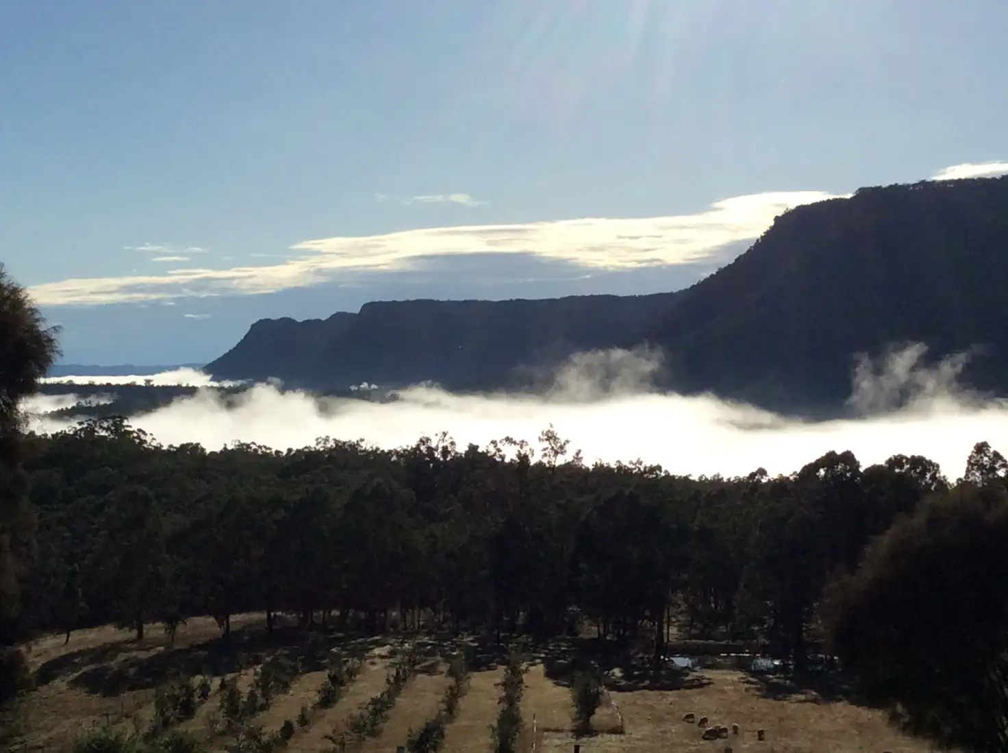 Main view of Homely rural property listing, 650 Bullio Trig Station Road, Bullio NSW 2575