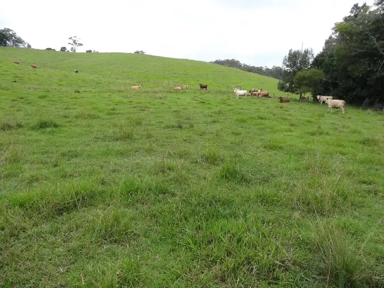 Main view of Homely rural property listing, 441 Missabotti Road, Bowraville NSW 2449