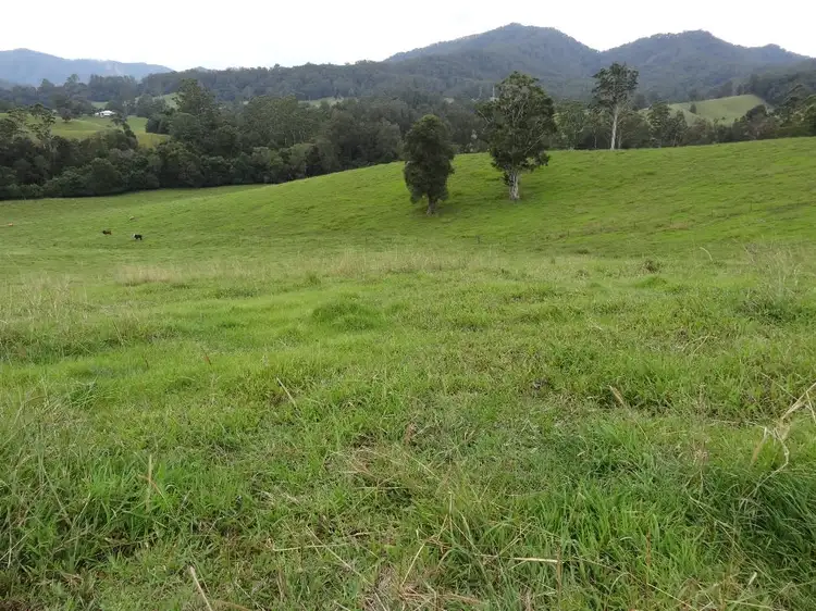 Fourth view of Homely rural property listing, 441 Missabotti Road, Bowraville NSW 2449