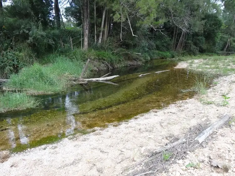 Sixth view of Homely rural property listing, 441 Missabotti Road, Bowraville NSW 2449