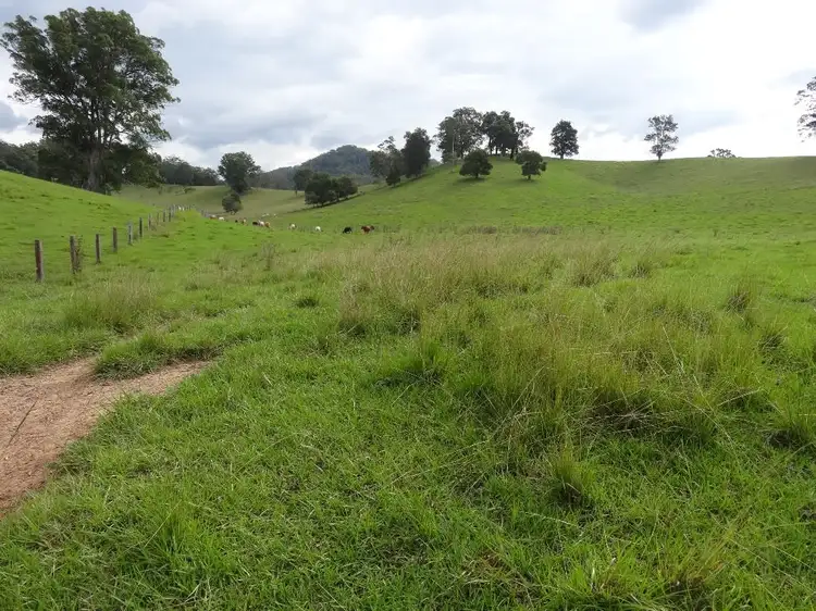 Seventh view of Homely rural property listing, 441 Missabotti Road, Bowraville NSW 2449