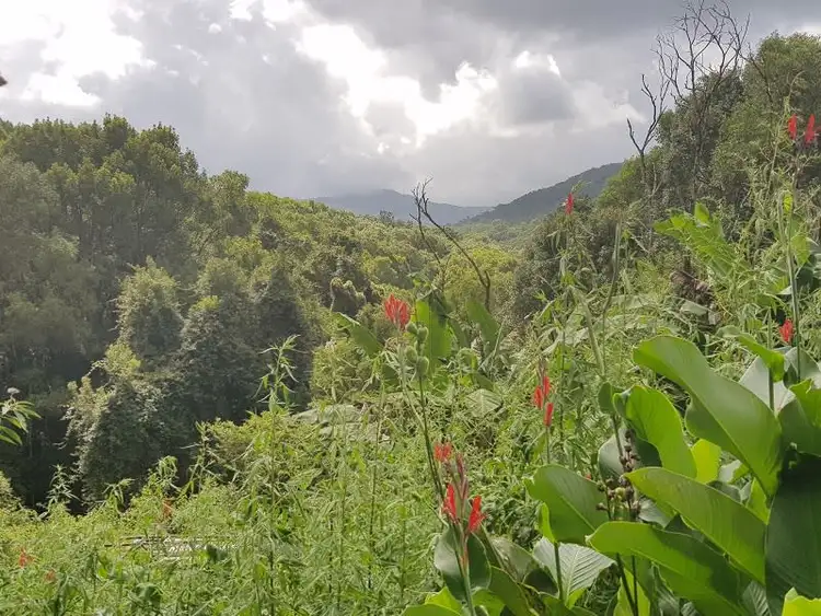 Seventh view of Homely rural property listing, Address available on request