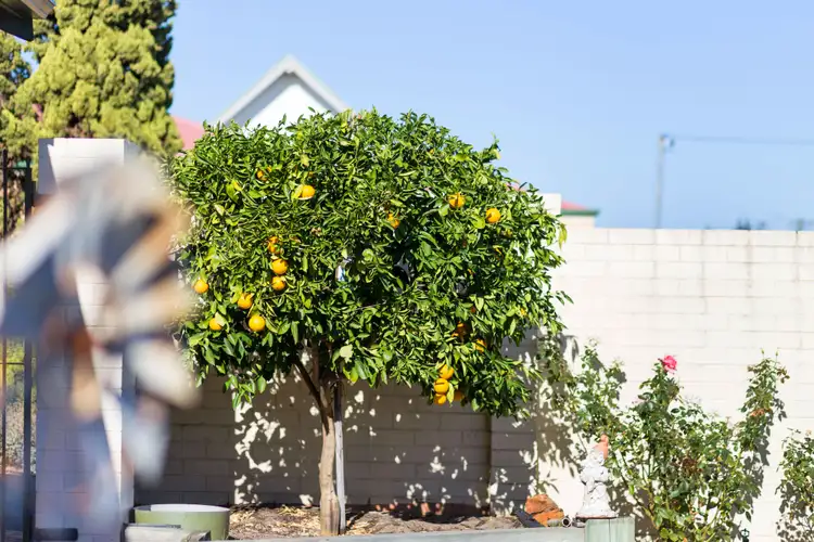 Fifth view of Homely house listing, 132A Centre Street, Queens Park WA 6107