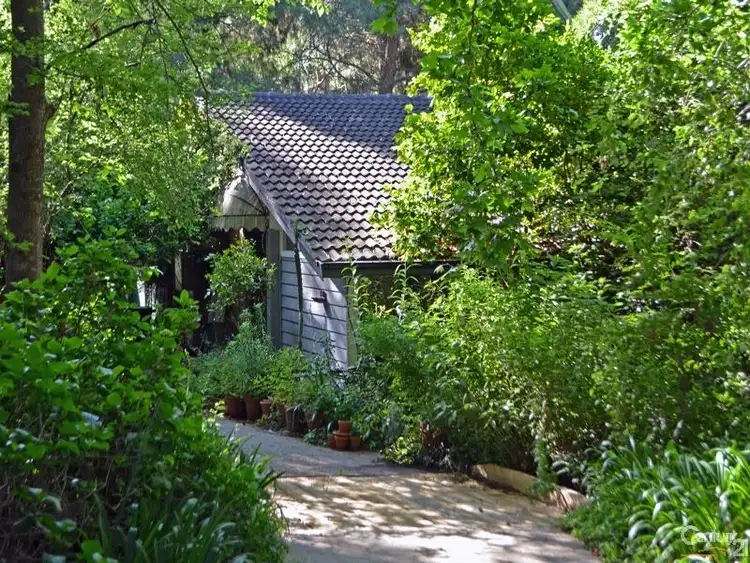 Third view of Homely house listing, 14 Ellison Road, Springwood NSW 2777