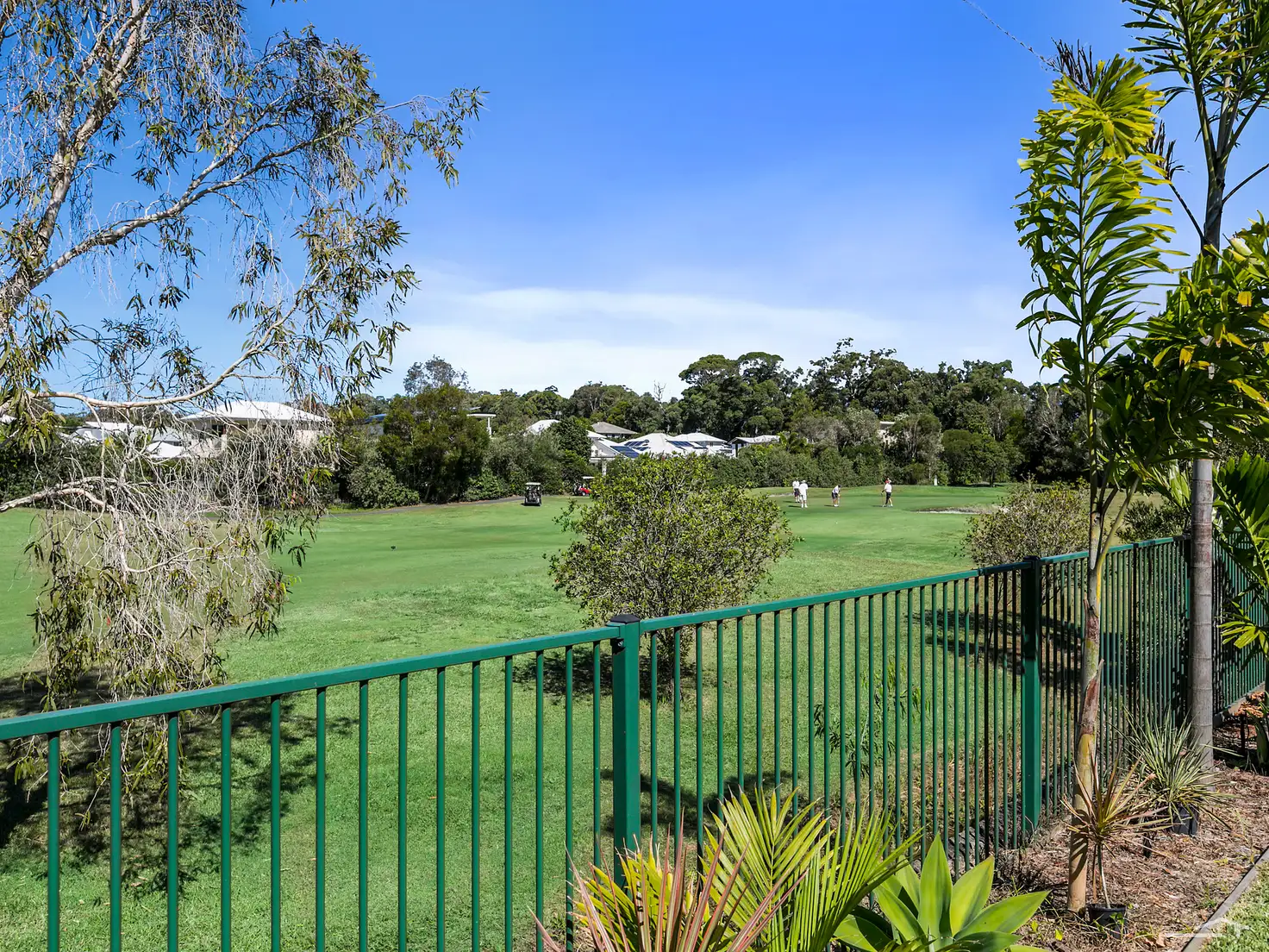 Main view of Homely house listing, 213 Balgownie Drive, Peregian Springs QLD 4573
