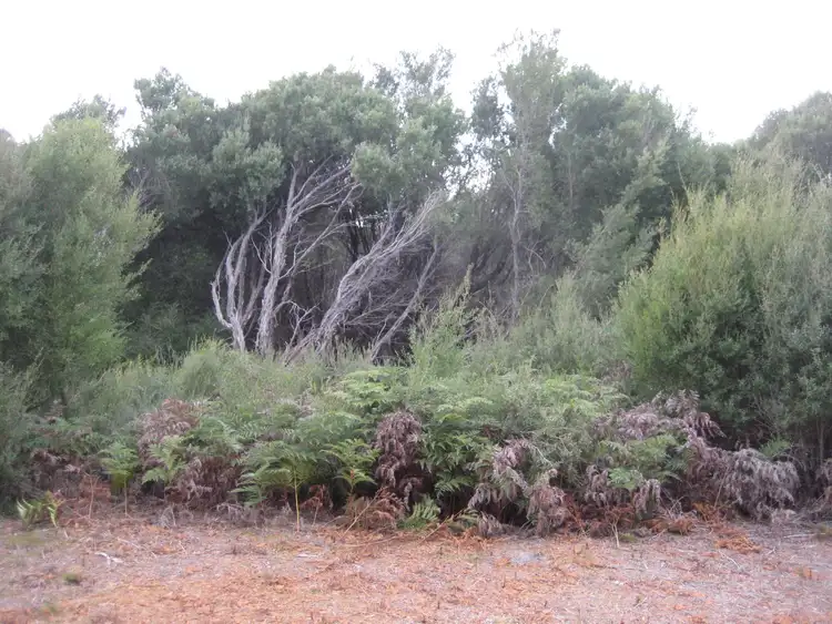 Third view of Homely land listing, CA10A Sect A Bullock Road, French Island VIC 3921