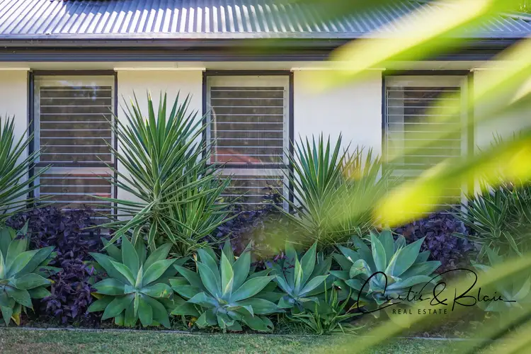 Fourth view of Homely house listing, 3 Figtree Close, Medowie NSW 2318