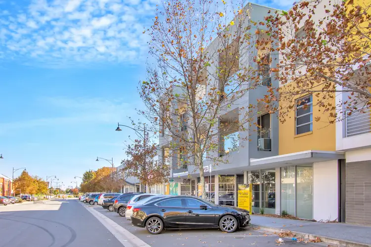 12/14-16 Hurtle Parade, Mawson Lakes SA 5095