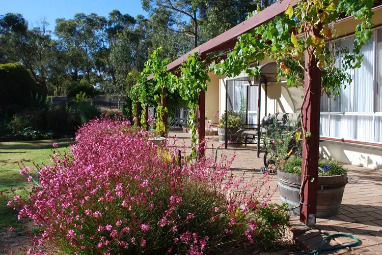 1256 Lower North East Road, Paracombe SA 5132
